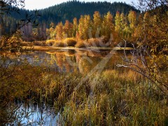 NEVADA Lake Tahoe State Park